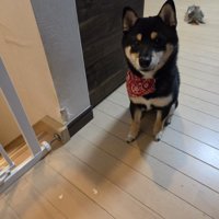後日