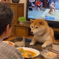 食事の見守りが日課