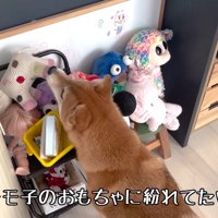 ようやく発見！