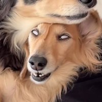 なのちゃんの衝撃的な寝顔