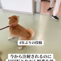 興奮するみなみちゃん