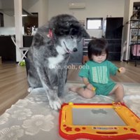今後の成長が楽しみすぎます