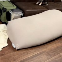 ソファの上を走るきびくん