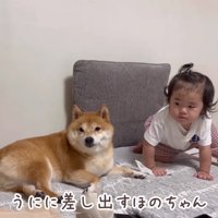 ウエットティッシュでお掃除