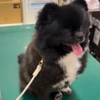 「もしかしてここって病院…？」