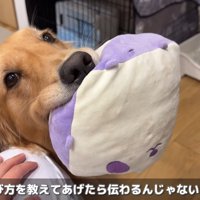 「どうやったら仲良くなれる？」