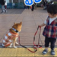 容赦ないむぎちゃんにクスッ