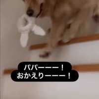 エマちゃんとパパさんの再会5