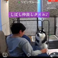 起きた息子さん