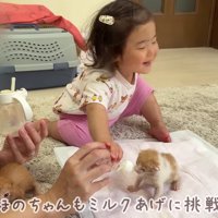 子猫のお世話にチャレンジ！