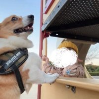 お店屋さんごっこに付き合ういなり君2