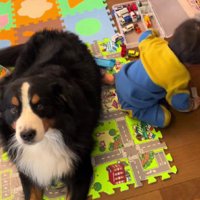 喧嘩にならないね♡