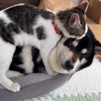 これからは一緒だよ