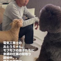 「線引っぱれる？」