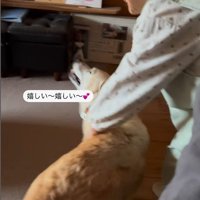 ララちゃんとユーザーさんの再会3