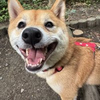 笑顔