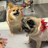 お彼岸スタイルもお任せ