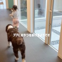 オヤツの時間〜