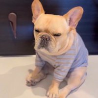 「やっぱ眠い…」