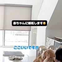子育て中の家族とこてつ君の日常7