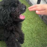 楽しそうにニコニコ♪