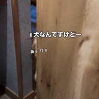 扉を閉める飼い主さん