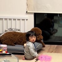 きんとん君VS男の子7