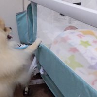 「よし♪泣き止んだみたい」