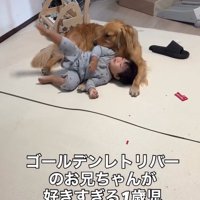 ピノくんに転がる息子さん