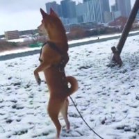 またまた直立不動の姿勢に