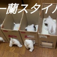圧倒的可愛さ…♡