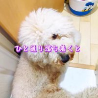 ラキちゃんがリラックスモードに♡