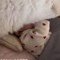 寝ている赤ちゃんを上から覗き込む犬