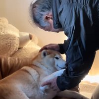 るるちゃんを撫でるおじいちゃん