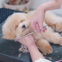 笑顔で寝ちゃった！？