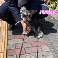 思った以上に大喜び♪