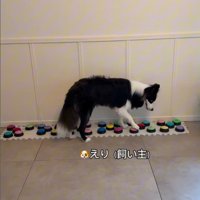 飼い主さんを呼び続けるサンゴくん
