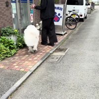 病院が大の苦手なドレミちゃん