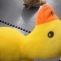 やっと乾いた！！