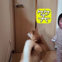 みいちゃんは爆笑