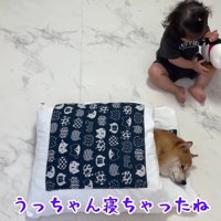 ほのちゃんがやってきた