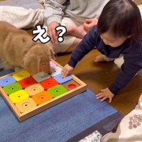赤ちゃんがパズルを動かして…