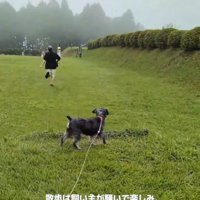 散歩を楽しむ飼い主さん