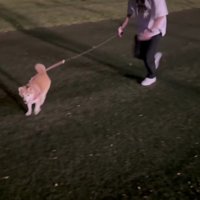 パパへの愛は変わらない