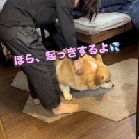 もう一度お願いされるジッさん