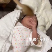 犬のしっぽが顔に当たって目を閉じる赤ちゃん