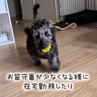 幸せを掴んだオレオくん5