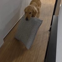 markくんとお兄ちゃんの再会