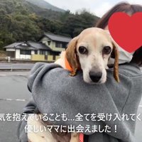 飼い主に抱っこされる犬