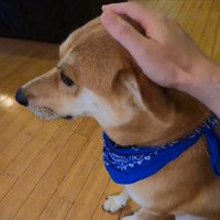 やっぱり怖がっている…？